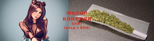 мдпв Верея