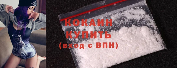 мдпв Верея
