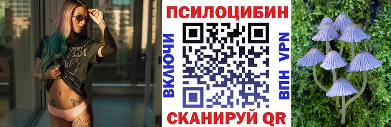 купить наркотики цена  Перевоз  Галлюциногенные грибы Magic Shrooms 